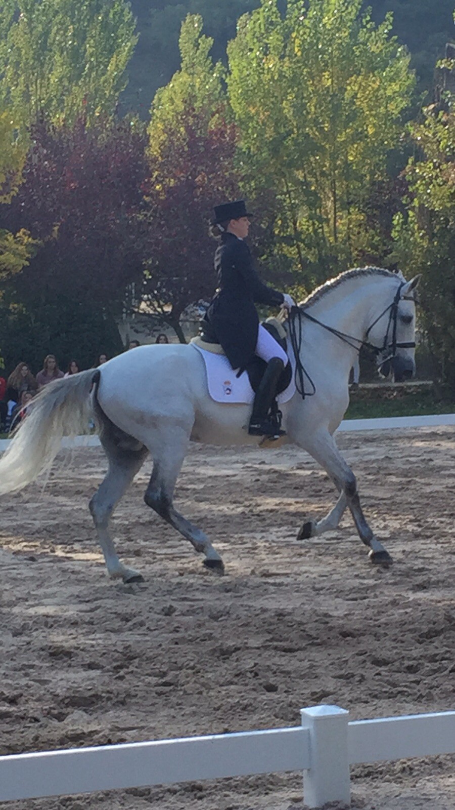 Resultados Finales Campeonato Navarro de Doma Clásica 2015